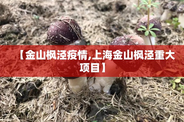 【金山枫泾疫情,上海金山枫泾重大项目】