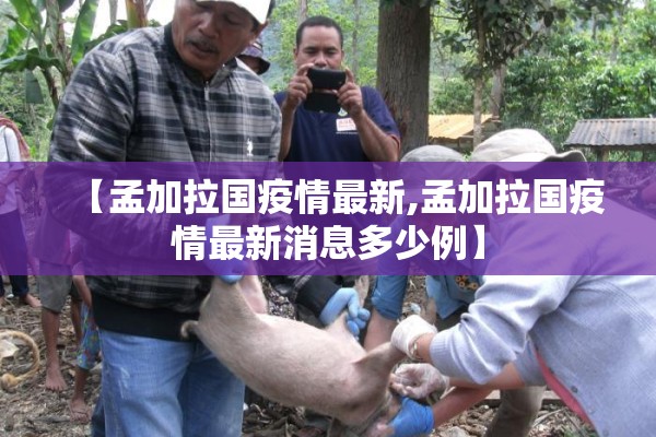 【孟加拉国疫情最新,孟加拉国疫情最新消息多少例】