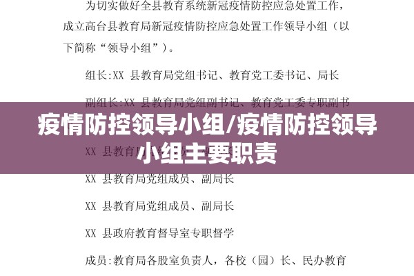 疫情防控领导小组/疫情防控领导小组主要职责 疫情防控领导小组/疫情防控领导小组主要职责