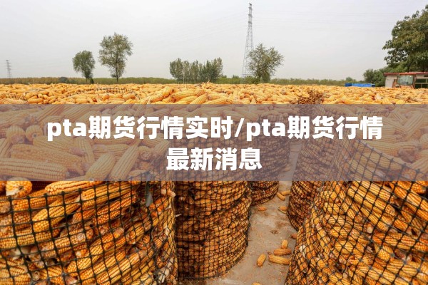 pta期货行情实时/pta期货行情最新消息