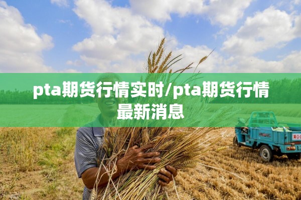 pta期货行情实时/pta期货行情最新消息 pta期货行情实时/pta期货行情最新消息