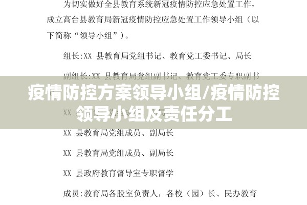 疫情防控方案领导小组/疫情防控领导小组及责任分工 疫情防控方案领导小组/疫情防控领导小组及责任分工