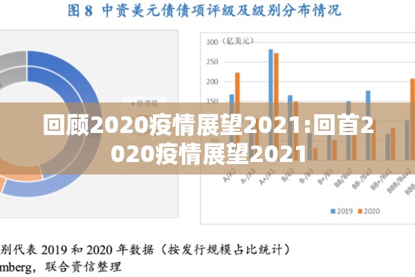 回顾2020疫情展望2021:回首2020疫情展望2021
