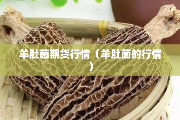 羊肚菌期货行情(羊肚菌的行情) 羊肚菌期货行情(羊肚菌的行情)