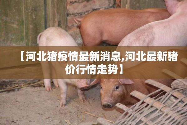 【河北猪疫情最新消息,河北最新猪价行情走势】
