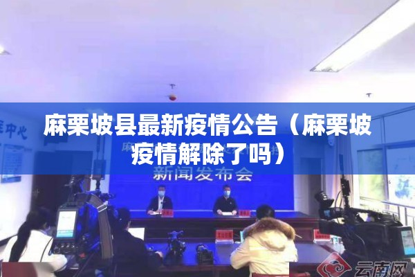 麻栗坡县最新疫情公告（麻栗坡疫情解除了吗）