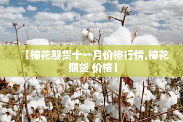 【棉花期货十一月价格行情,棉花 期货 价格】 【棉花期货十一月价格行情,棉花 期货 价格】