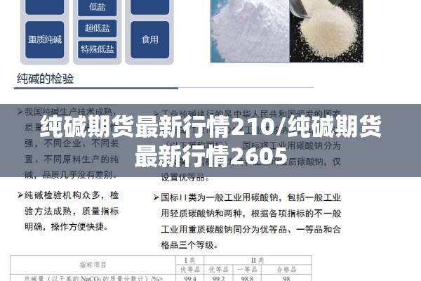 纯碱期货最新行情210/纯碱期货最新行情2605