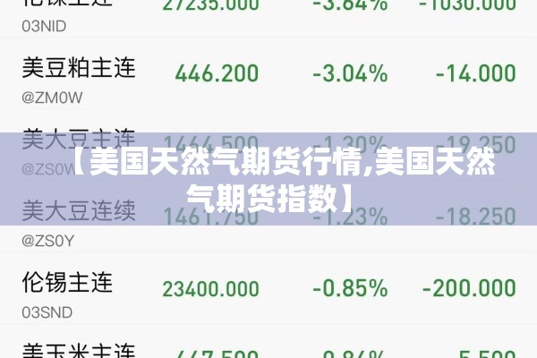 【美国天然气期货行情,美国天然气期货指数】