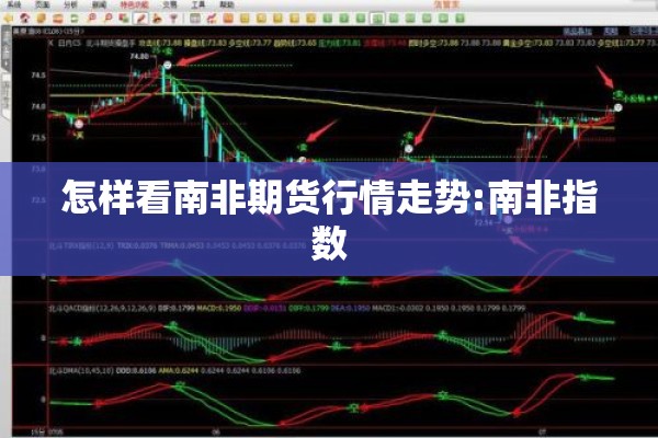 怎样看南非期货行情走势:南非指数 怎样看南非期货行情走势:南非指数