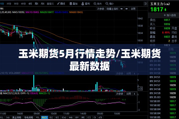 玉米期货5月行情走势/玉米期货最新数据 玉米期货5月行情走势/玉米期货最新数据
