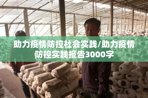 助力疫情防控社会实践/助力疫情防控实践报告3000字 助力疫情防控社会实践/助力疫情防控实践报告3000字