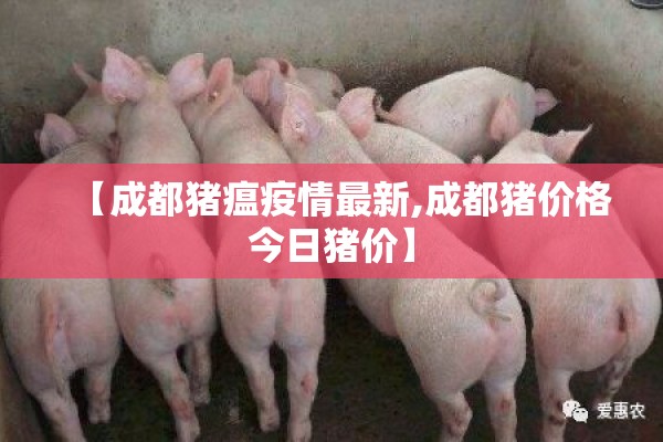 【成都猪瘟疫情最新,成都猪价格今日猪价】