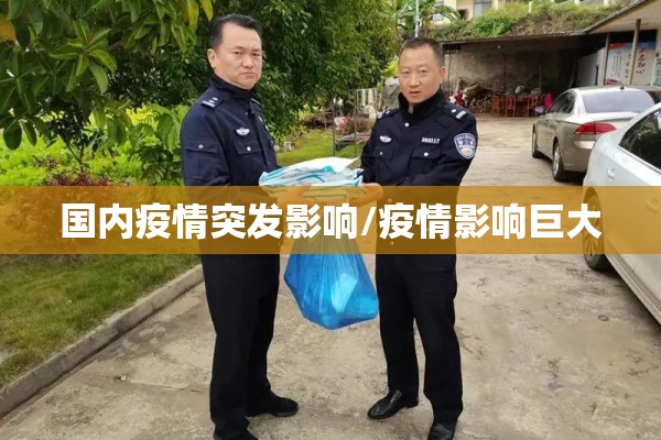 国内疫情突发影响/疫情影响巨大 国内疫情突发影响/疫情影响巨大