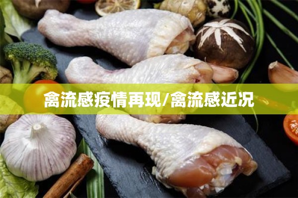 禽流感疫情再现/禽流感近况 禽流感疫情再现/禽流感近况