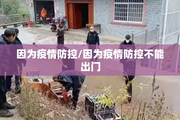 因为疫情防控/因为疫情防控不能出门 因为疫情防控/因为疫情防控不能出门