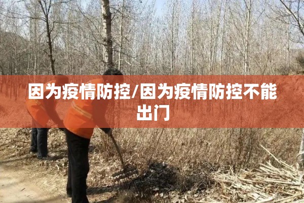 因为疫情防控/因为疫情防控不能出门 因为疫情防控/因为疫情防控不能出门