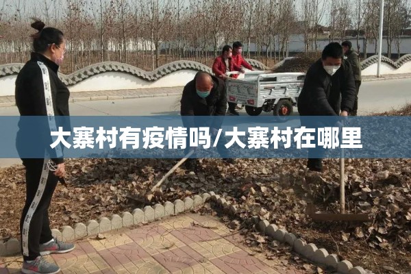 大寨村有疫情吗/大寨村在哪里