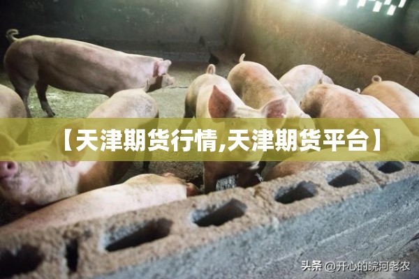 【天津期货行情,天津期货平台】 【天津期货行情,天津期货平台】
