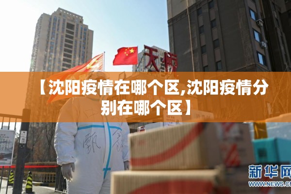 【沈阳疫情在哪个区,沈阳疫情分别在哪个区】