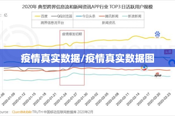疫情真实数据/疫情真实数据图 疫情真实数据/疫情真实数据图