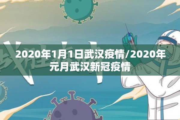 2020年1月1日武汉疫情/2020年元月武汉新冠疫情
