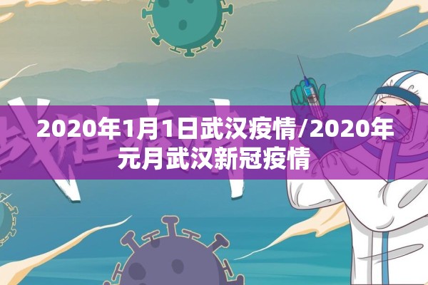 2020年1月1日武汉疫情/2020年元月武汉新冠疫情