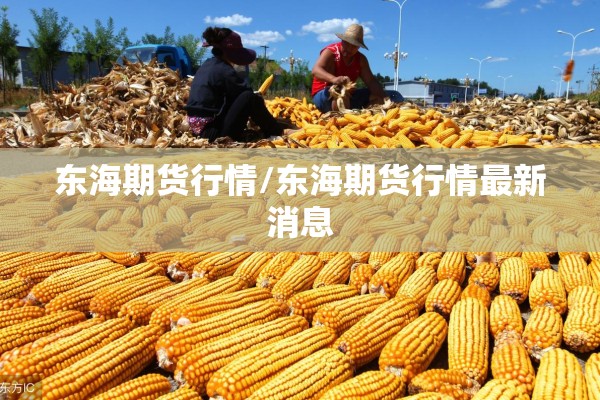 东海期货行情/东海期货行情最新消息 东海期货行情/东海期货行情最新消息