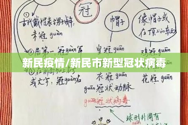 新民疫情/新民市新型冠状病毒 新民疫情/新民市新型冠状病毒