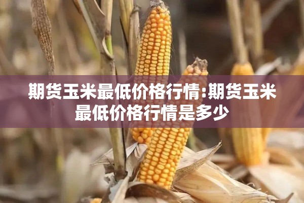 期货玉米最低价格行情:期货玉米最低价格行情是多少 期货玉米最低价格行情:期货玉米最低价格行情是多少