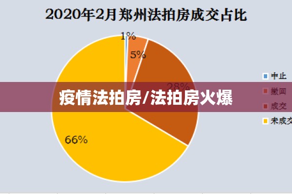 疫情法拍房/法拍房火爆