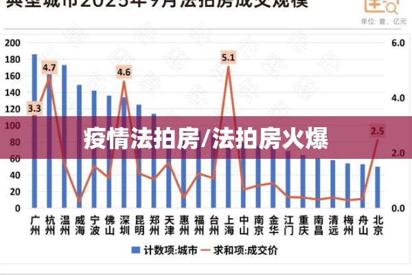 疫情法拍房/法拍房火爆