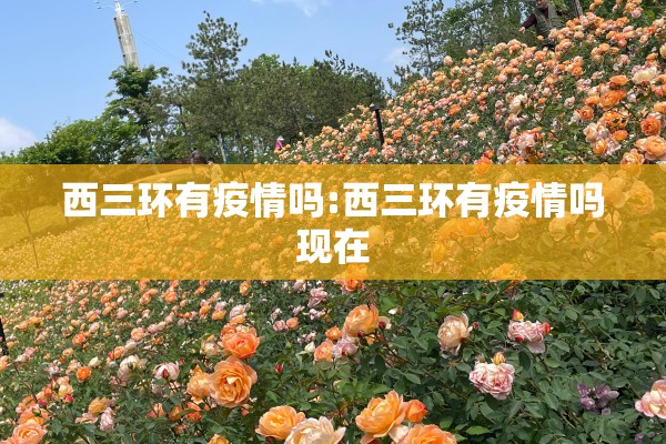 西三环有疫情吗:西三环有疫情吗现在 西三环有疫情吗:西三环有疫情吗现在