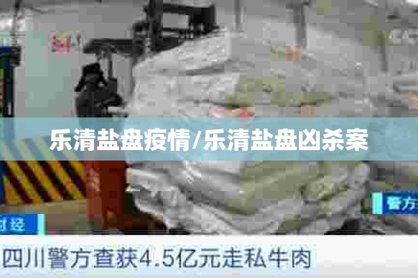 乐清盐盘疫情/乐清盐盘凶杀案 乐清盐盘疫情/乐清盐盘凶杀案