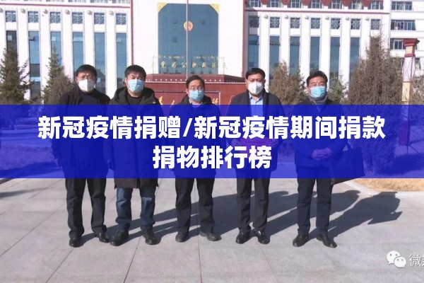 新冠疫情捐赠/新冠疫情期间捐款捐物排行榜