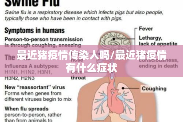 最近猪疫情传染人吗/最近猪疫情有什么症状 最近猪疫情传染人吗/最近猪疫情有什么症状