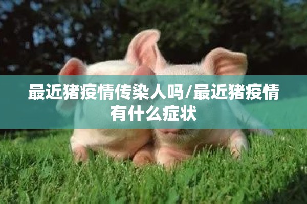 最近猪疫情传染人吗/最近猪疫情有什么症状 最近猪疫情传染人吗/最近猪疫情有什么症状