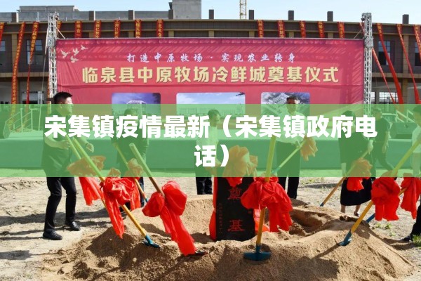 宋集镇疫情最新（宋集镇政府电话）