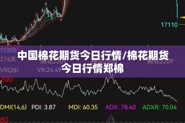 中国棉花期货今日行情/棉花期货今日行情郑棉 中国棉花期货今日行情/棉花期货今日行情郑棉