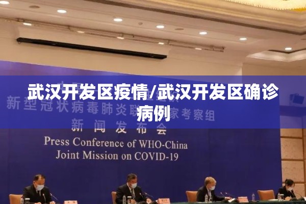 武汉开发区疫情/武汉开发区确诊病例 武汉开发区疫情/武汉开发区确诊病例