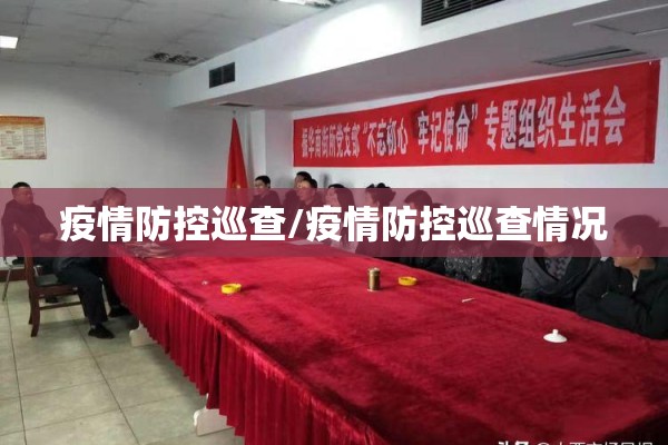 疫情防控巡查/疫情防控巡查情况 疫情防控巡查/疫情防控巡查情况