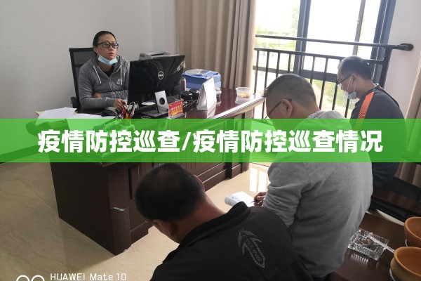 疫情防控巡查/疫情防控巡查情况 疫情防控巡查/疫情防控巡查情况