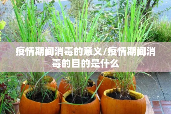 疫情期间消毒的意义/疫情期间消毒的目的是什么 疫情期间消毒的意义/疫情期间消毒的目的是什么