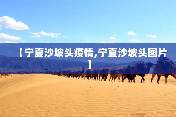 【宁夏沙坡头疫情,宁夏沙坡头图片】