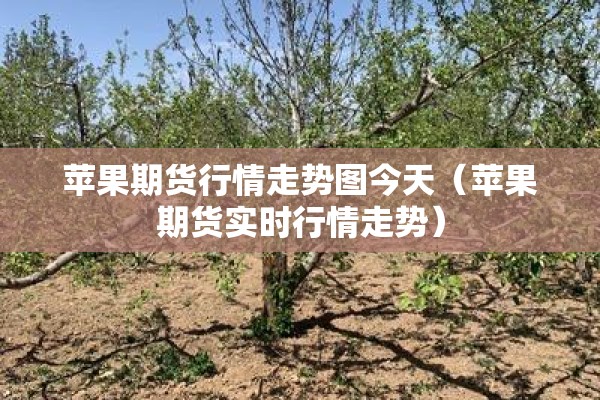 苹果期货行情走势图今天(苹果期货实时行情走势) 苹果期货行情走势图今天(苹果期货实时行情走势)
