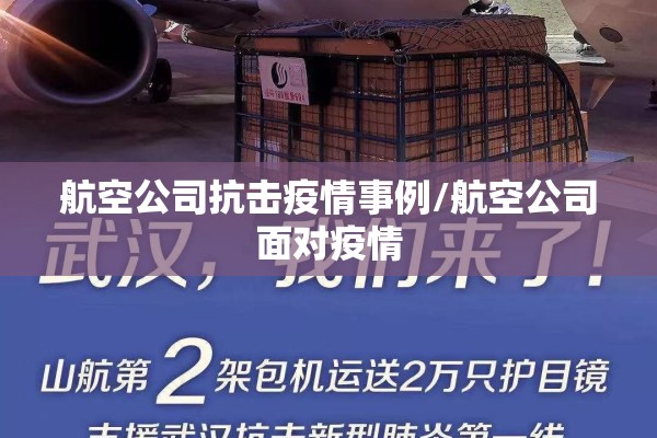 航空公司抗击疫情事例/航空公司面对疫情 航空公司抗击疫情事例/航空公司面对疫情