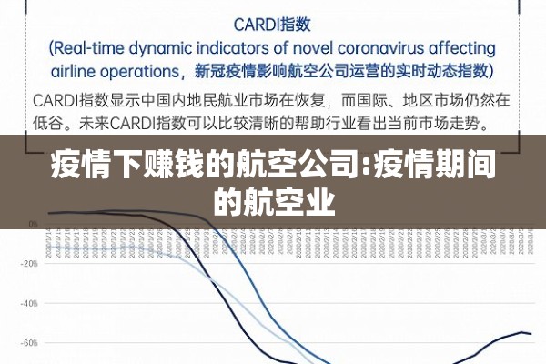 疫情下赚钱的航空公司:疫情期间的航空业 疫情下赚钱的航空公司:疫情期间的航空业