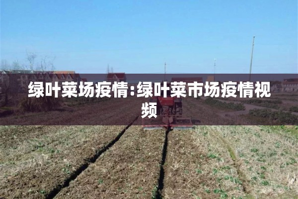绿叶菜场疫情:绿叶菜市场疫情视频