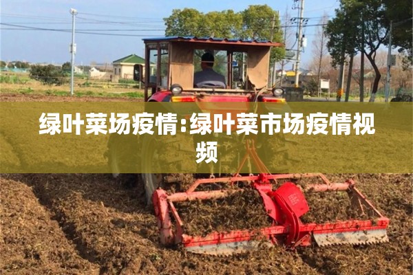 绿叶菜场疫情:绿叶菜市场疫情视频