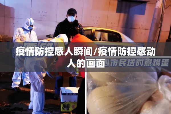 疫情防控感人瞬间/疫情防控感动人的画面